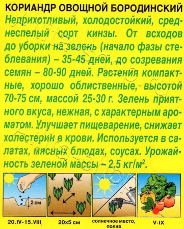 Кориандр (кинза) Бородинский 3г (Аэлита, серия Лидер)