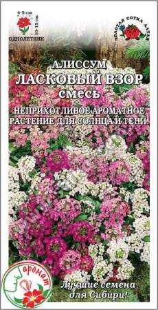 Алиссум Ласковый взор (смесь) 0,1г (Золотая сотка Алтая)