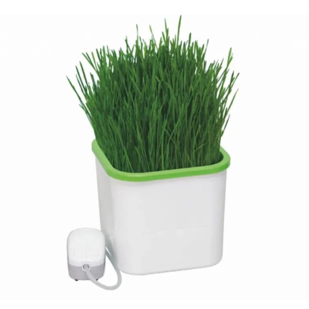 Проращиватель семян "Здоровья клад Х1" с эл.компрессором (белый)