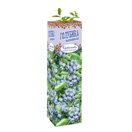 Голубика высокорослая Блу Кроп (ранний) в контейнере